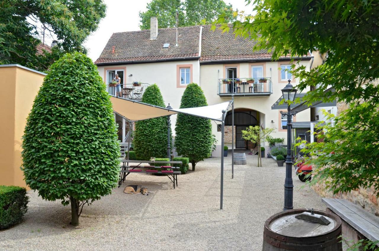 Haus Mandelbluete Apartment Gimmeldingen Exterior photo